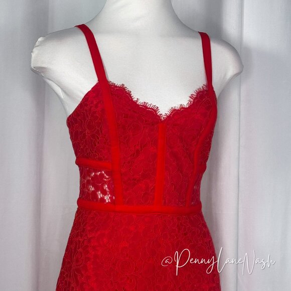 Express Red Piped Lace Midi Sheath Dress - Picture 5 of 16